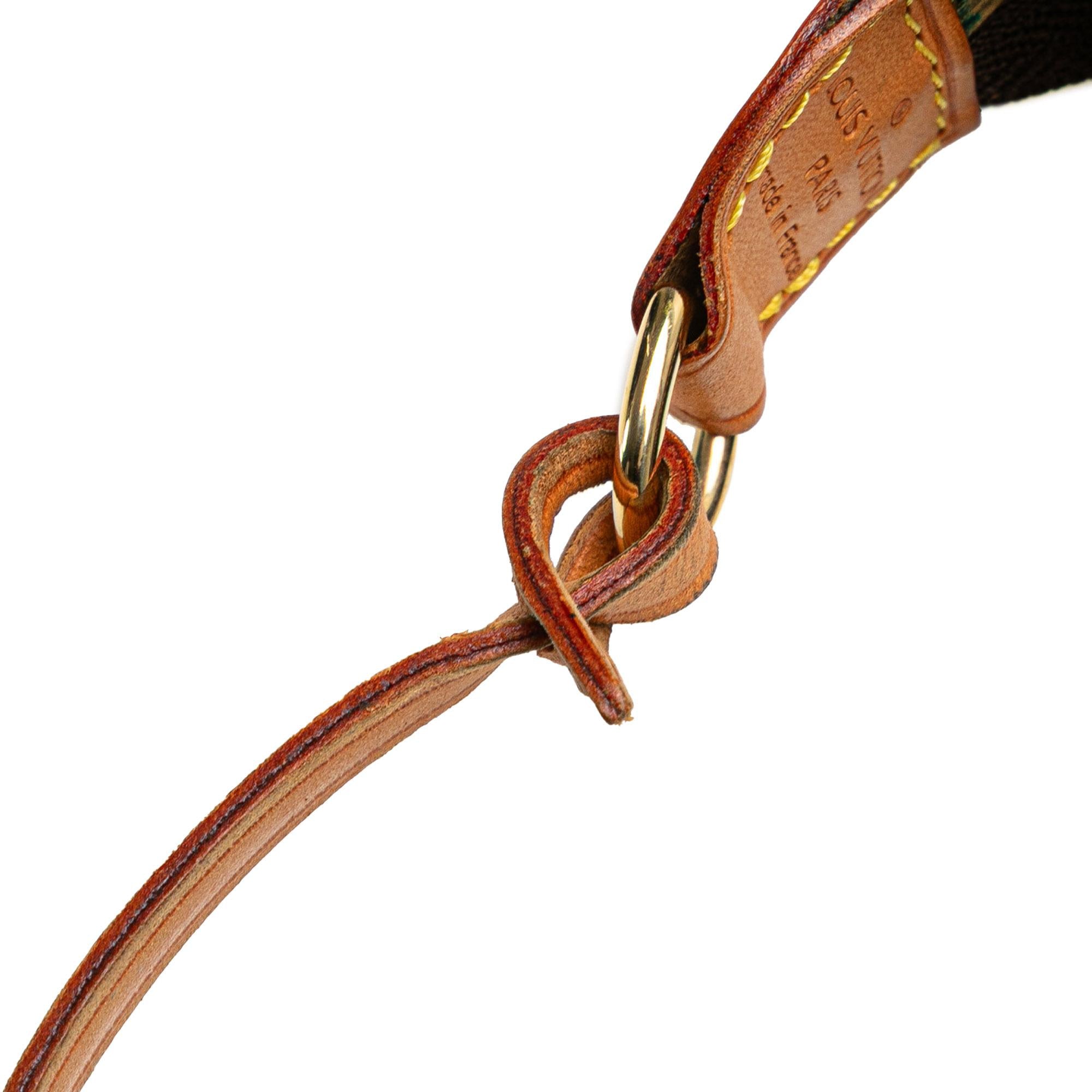 Louis Vuitton Monogram Pochette Accessoires