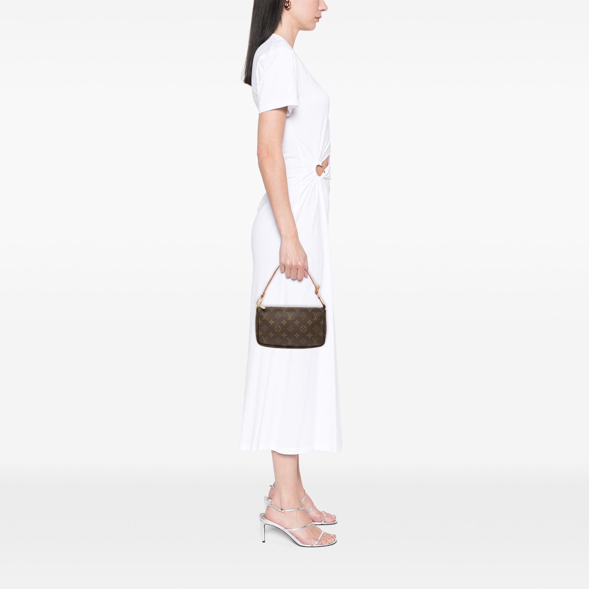 Louis Vuitton Monogram Pochette Accessoires