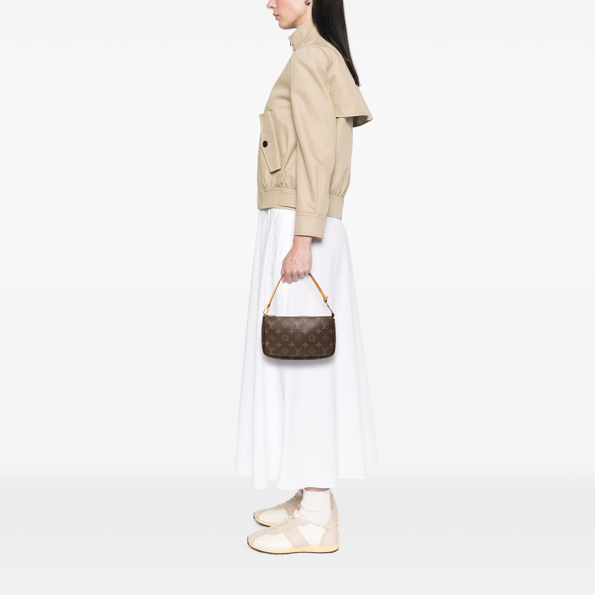 Louis Vuitton Monogram Pochette Accessoires