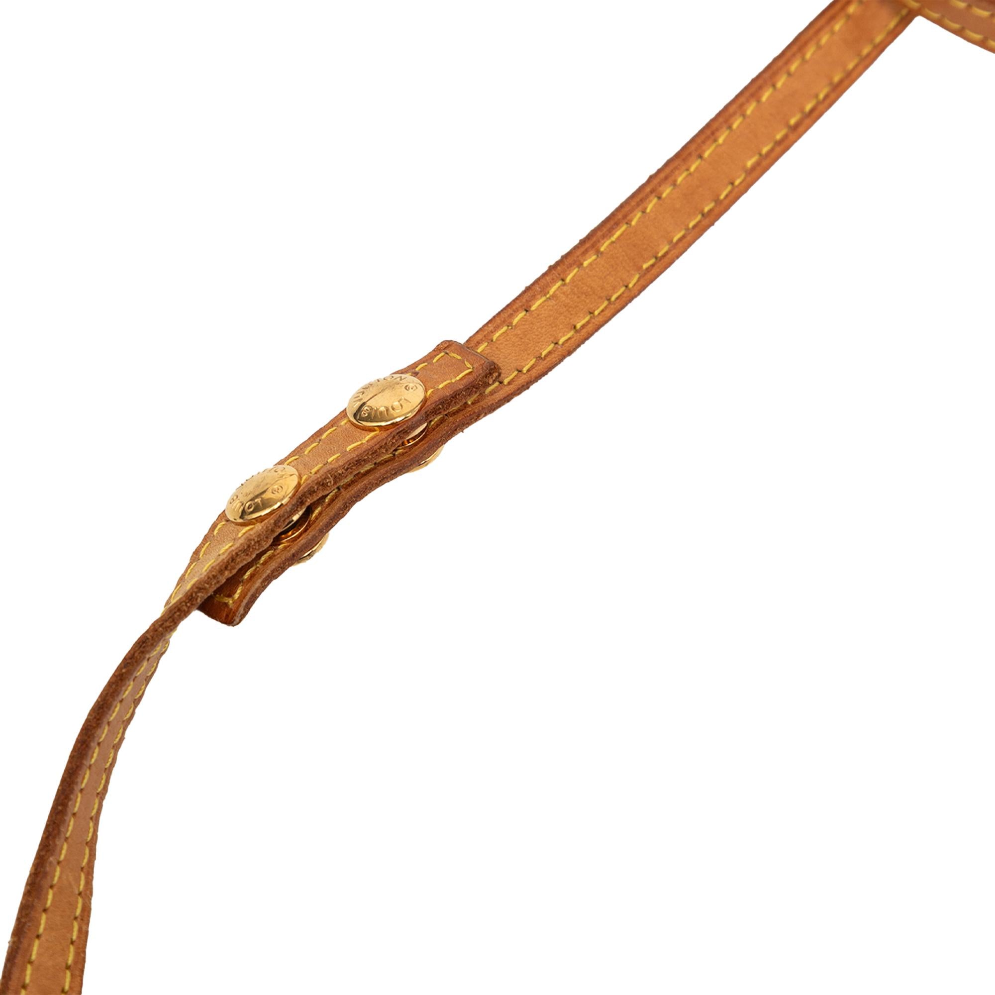 Louis Vuitton Monogram Pochette Twin GM