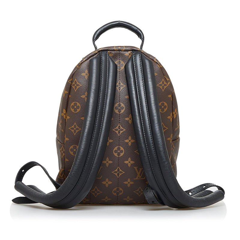 Louis Vuitton, Bags, Auth Louis Vuitton Monogram Reverse Palm Spring Mini