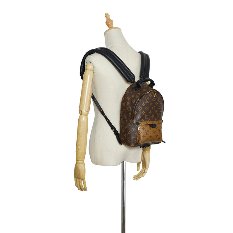 Louis Vuitton, Bags, Louis Vuitton Palm Springs Pm Reverse Monogram  Backpack