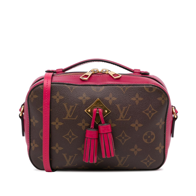 Saintonge leather crossbody bag Louis Vuitton Red in Leather