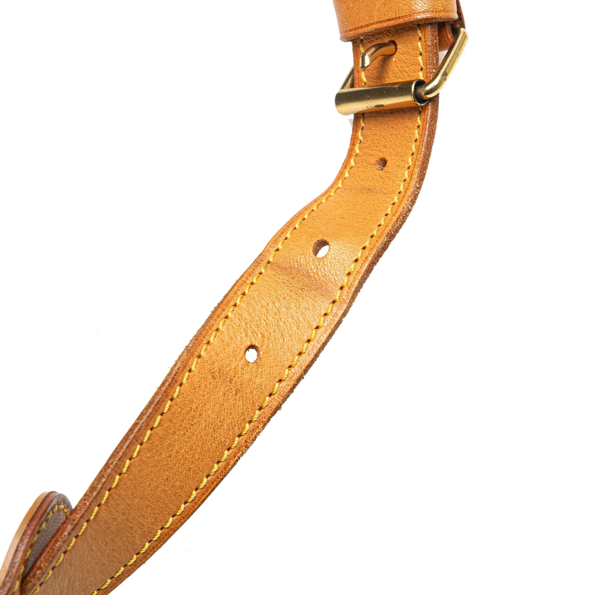 Louis Vuitton Monogram Saumur 35