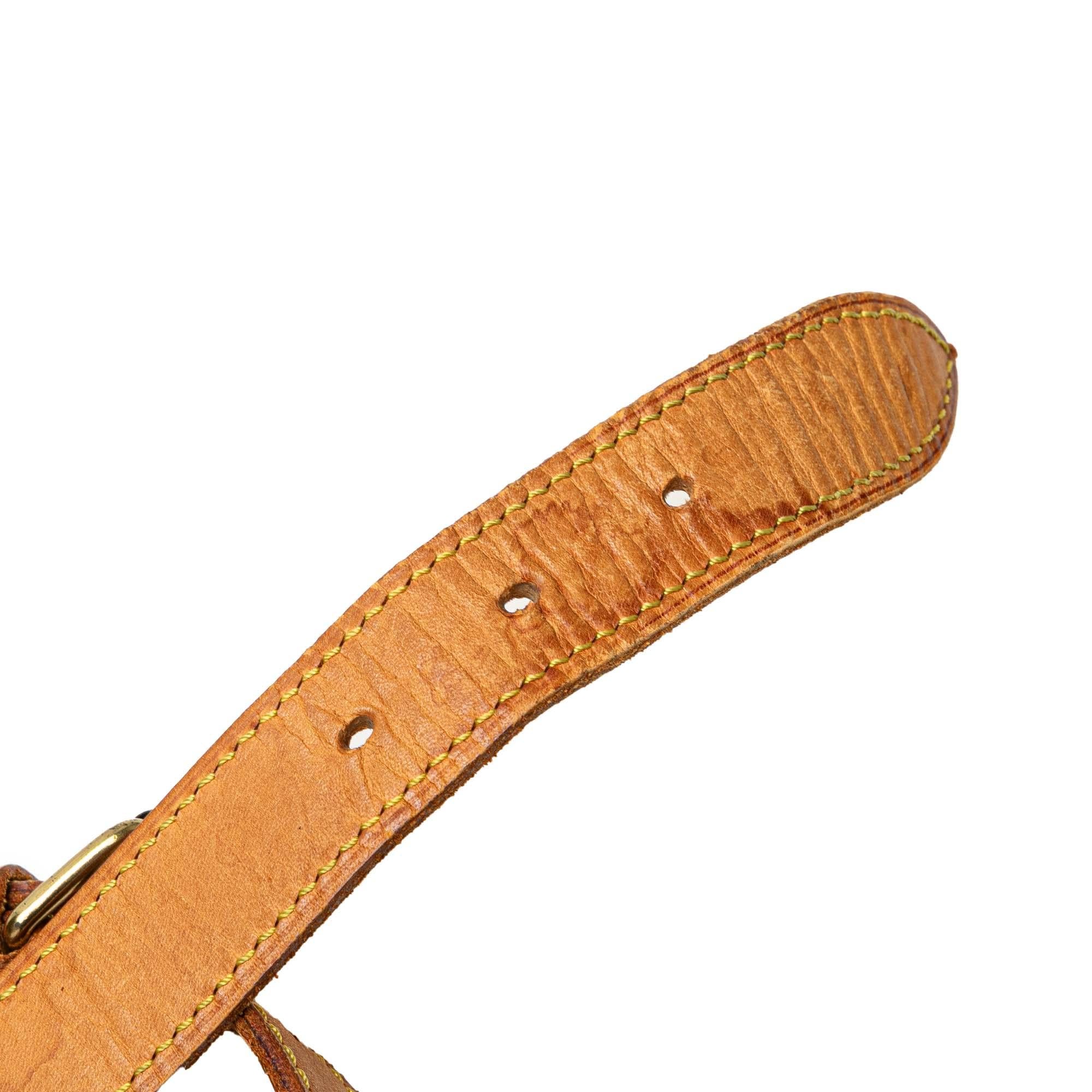 Louis Vuitton Monogram Saumur 35