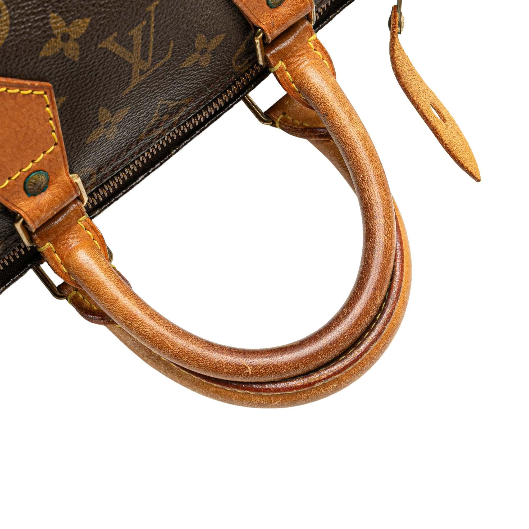 Louis Vuitton Monogram Speedy 25