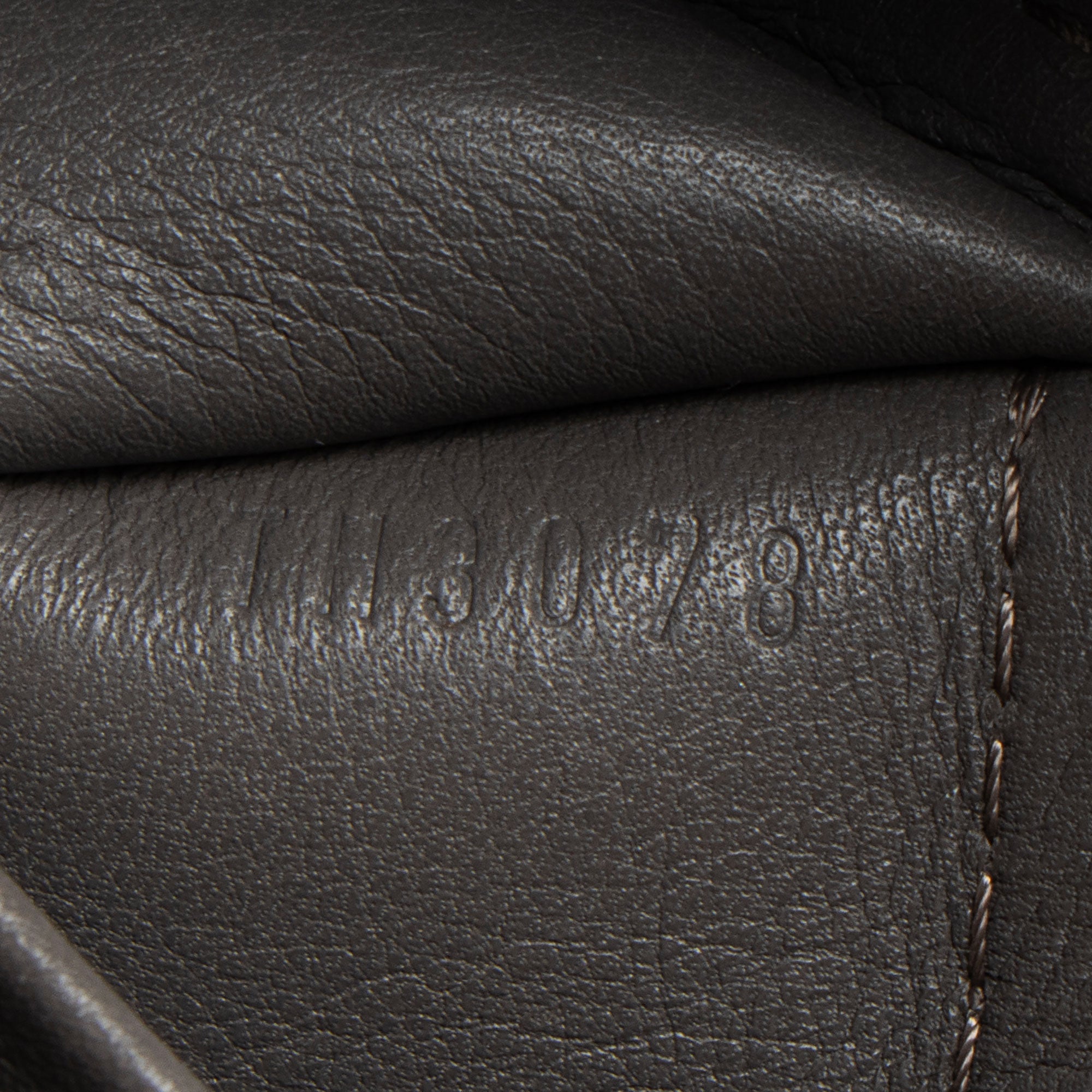 Louis Vuitton Monogram Embossed Suede Python Wish Bag