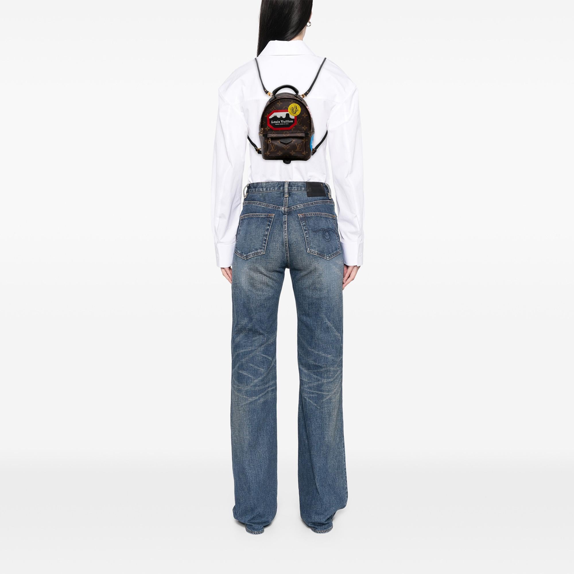 Louis Vuitton Monogram World Tour Mini Palm Springs