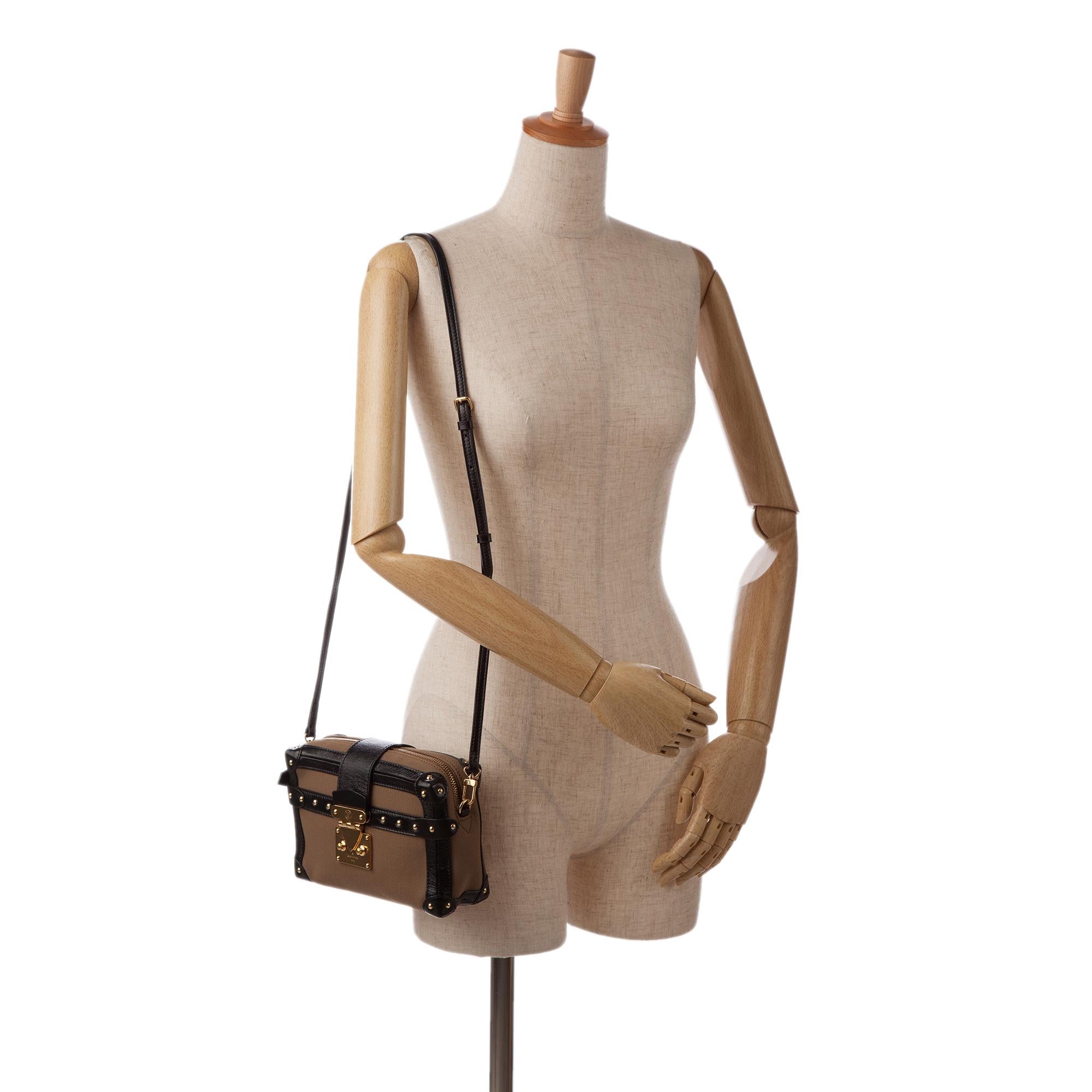 Louis Vuitton Petite Malle Soft MM