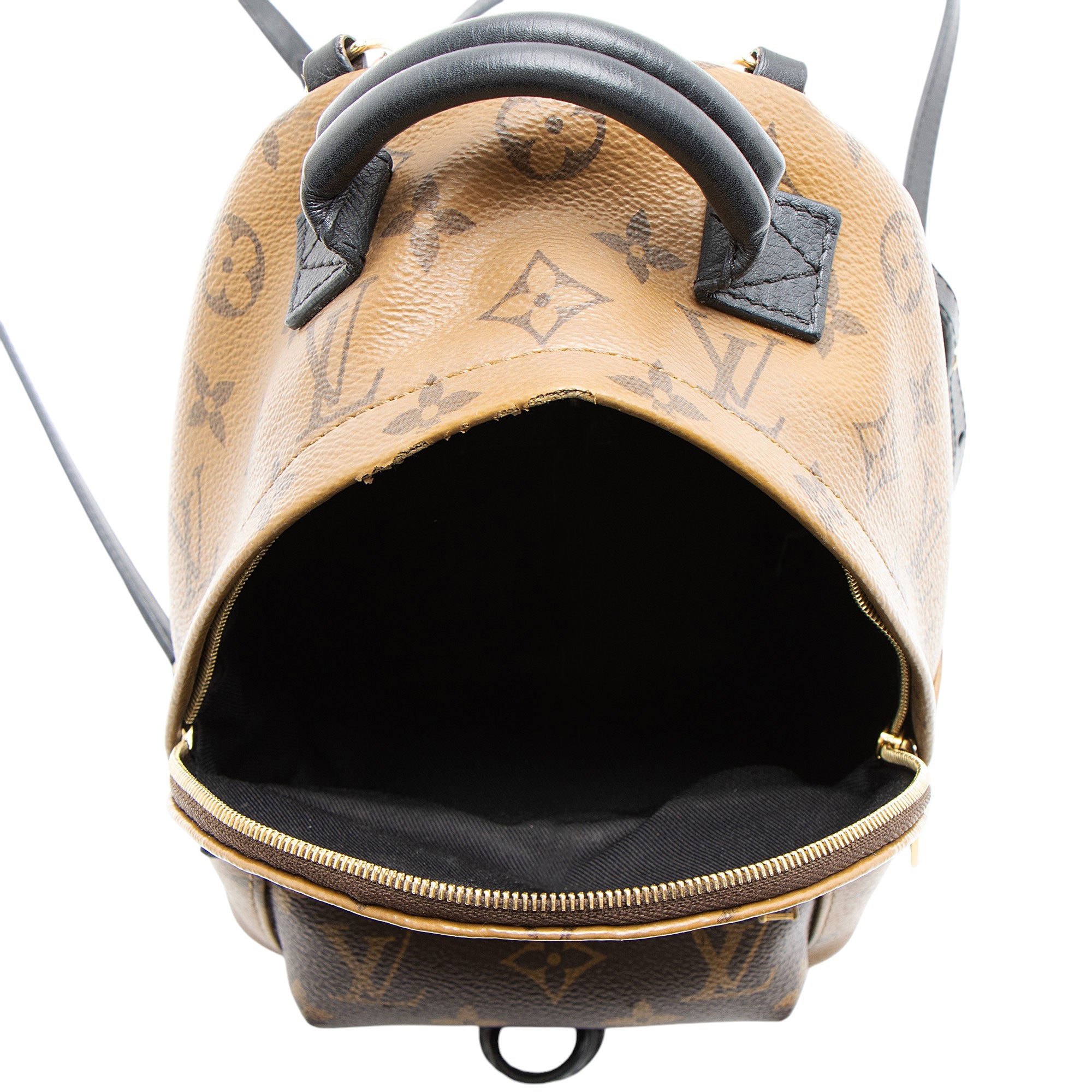 Louis Vuitton Reverse Monogram Canvas Palm Springs Mini Backpack