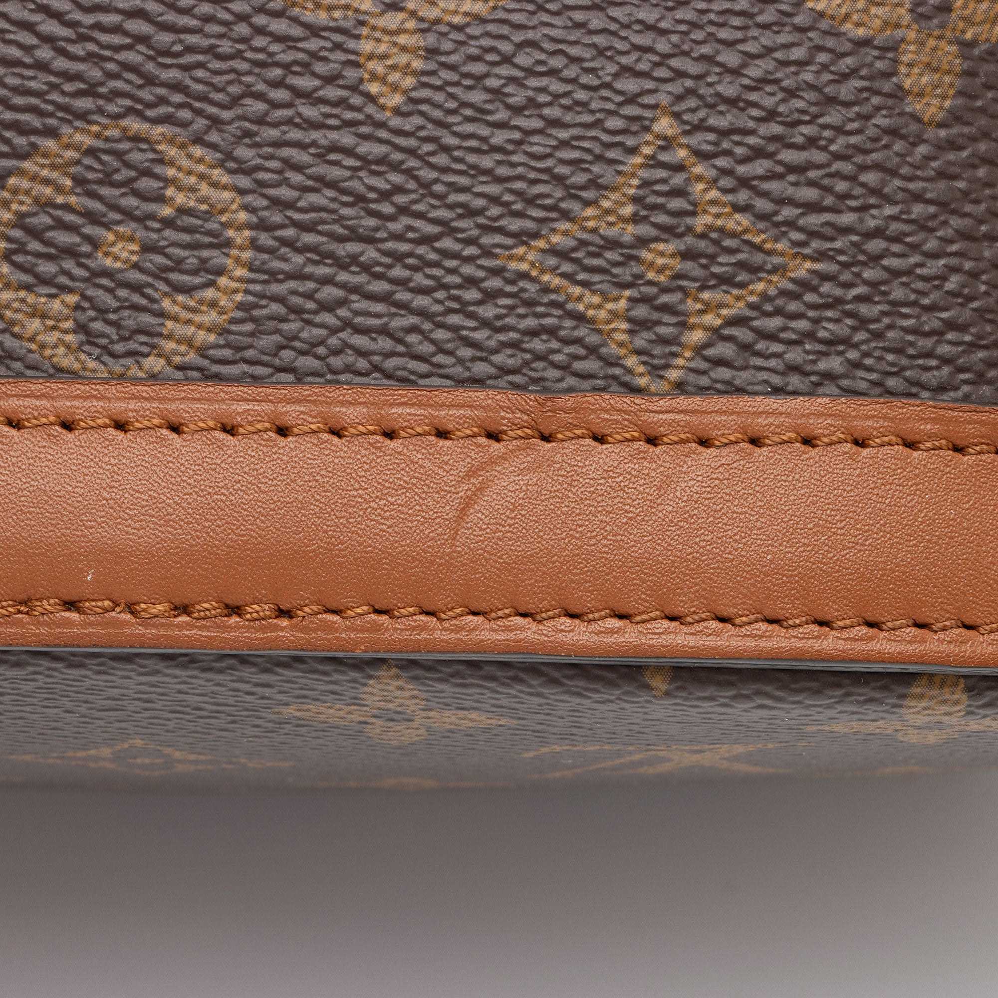 Louis Vuitton Reverse Monogram Dauphine PM Backpack