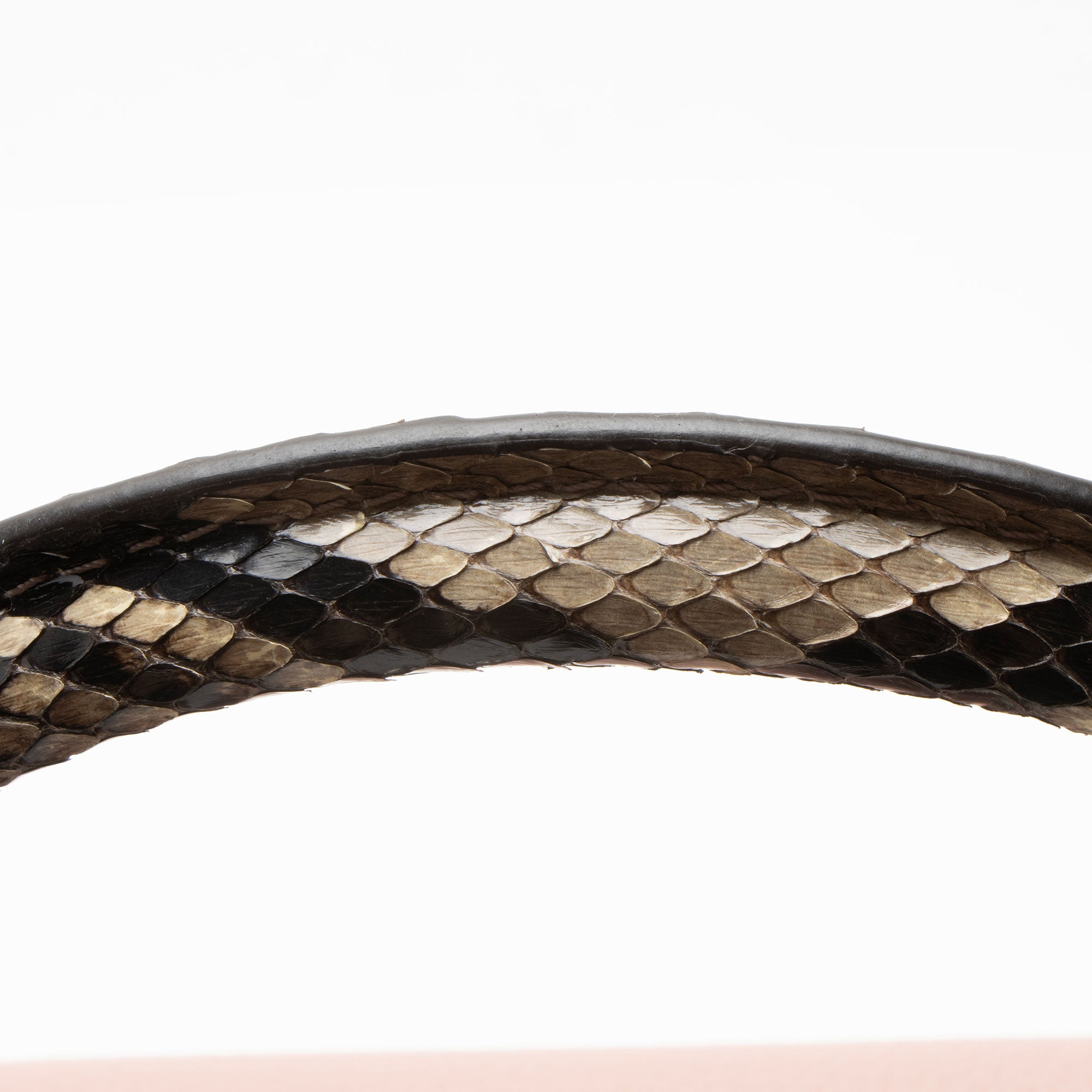 Louis Vuitton Taurillon Python Capucines PM Bag