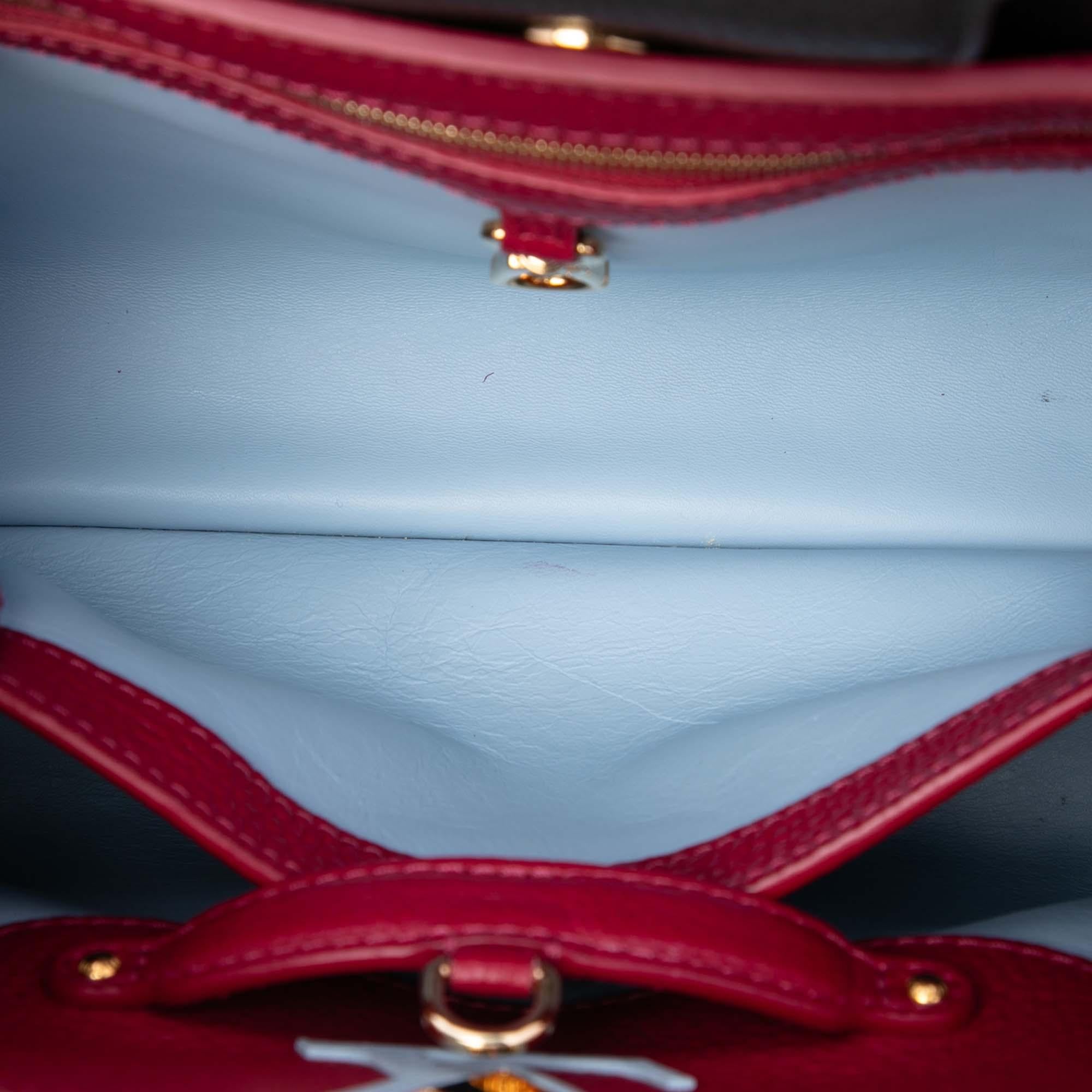 Louis Vuitton Tricolor Taurillon Capucines PM