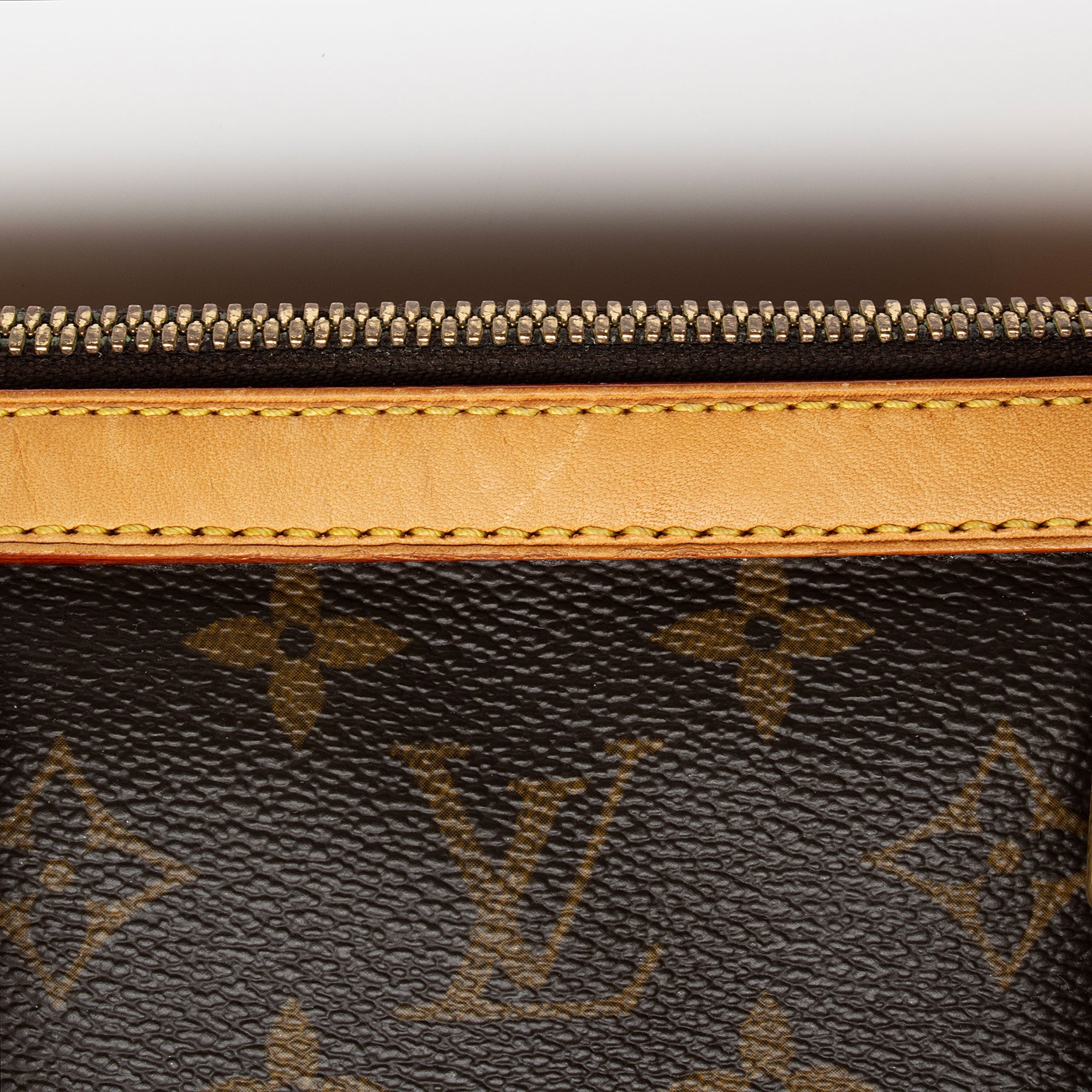 Louis Vuitton x Sofia Coppola Monogram Canvas Speedy Satchel (SHF-xJseoB)