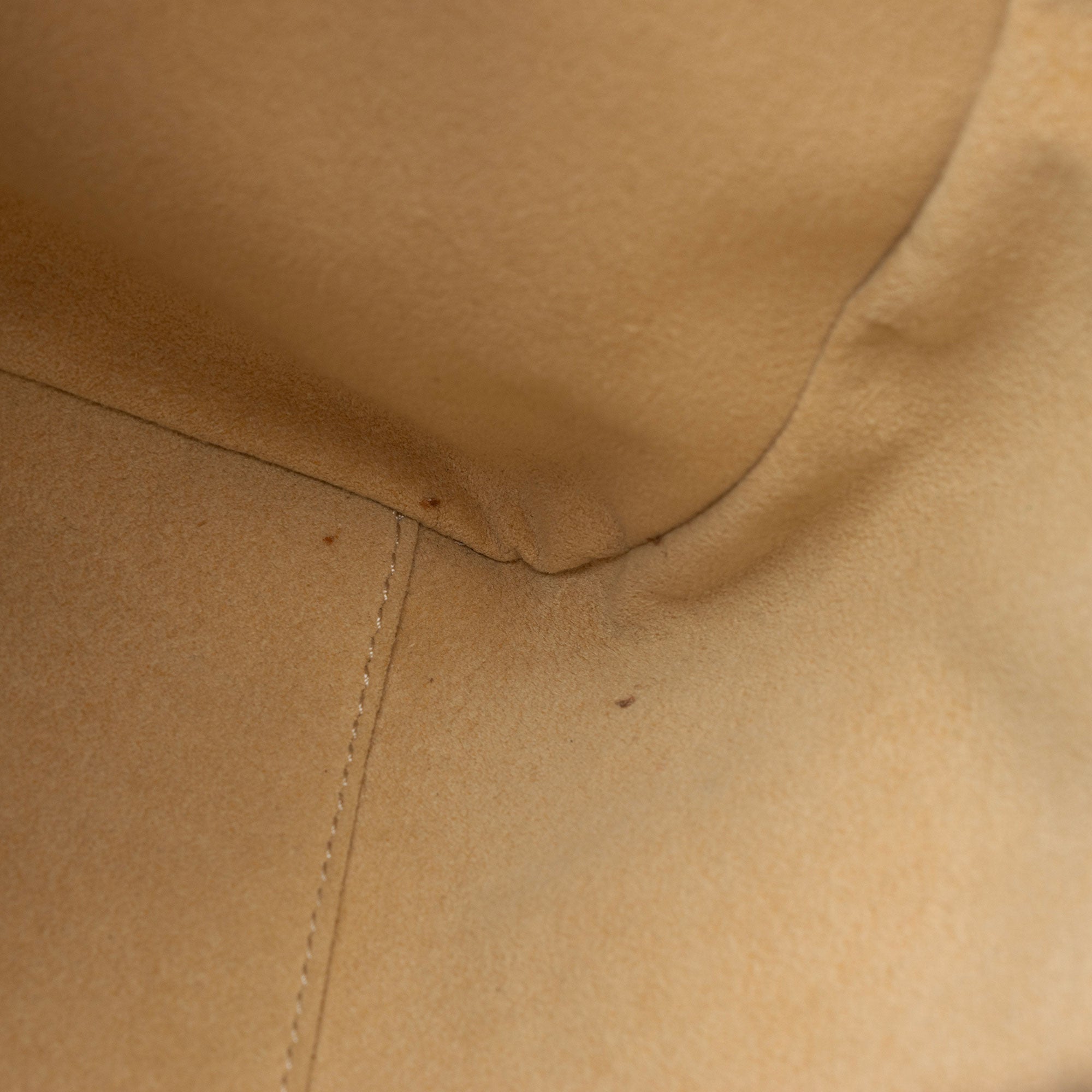 Louis Vuitton x Sofia Coppola Monogram Canvas Speedy Satchel (SHF-xJseoB)