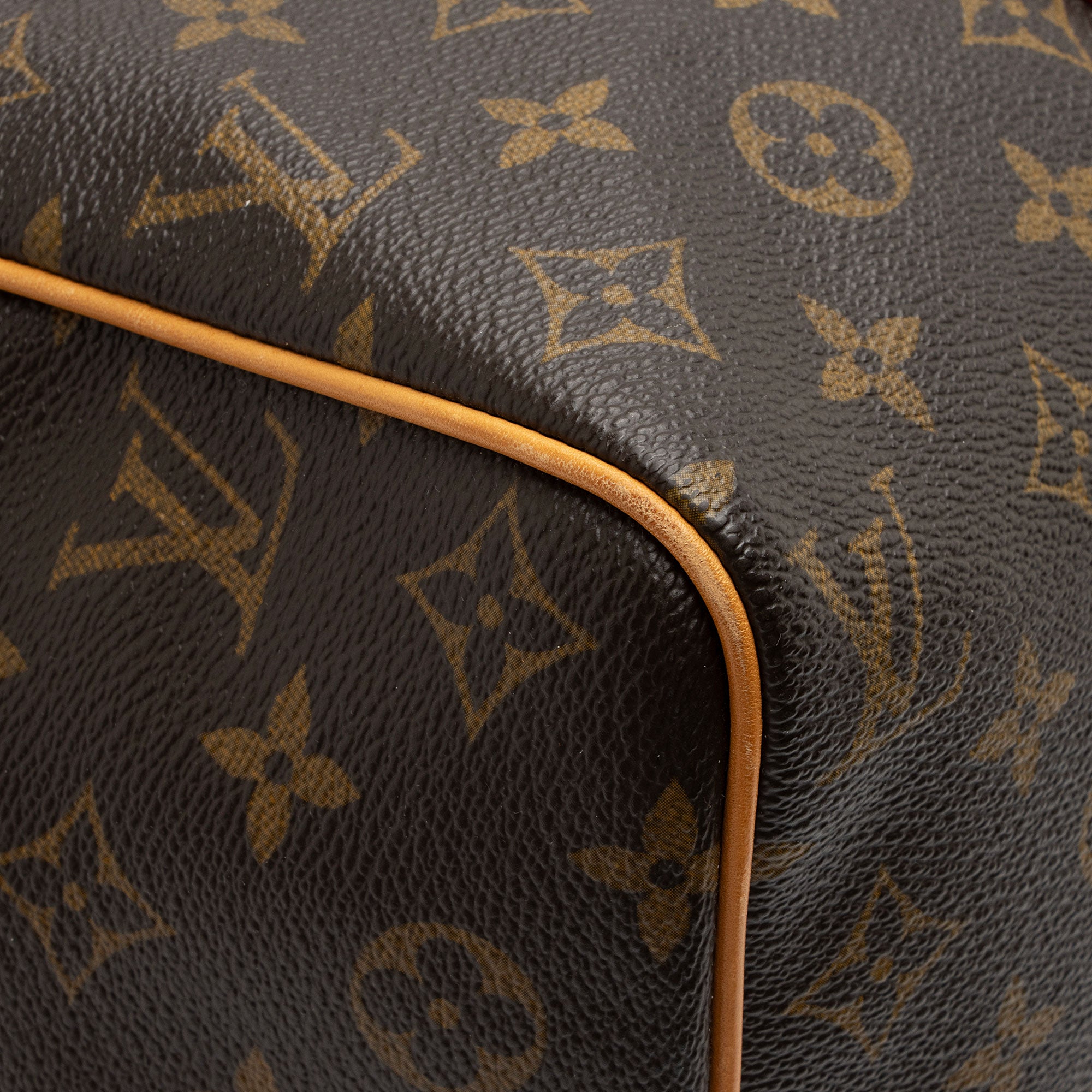 Louis Vuitton x Sofia Coppola Monogram Canvas Speedy Satchel (SHF-xJseoB)
