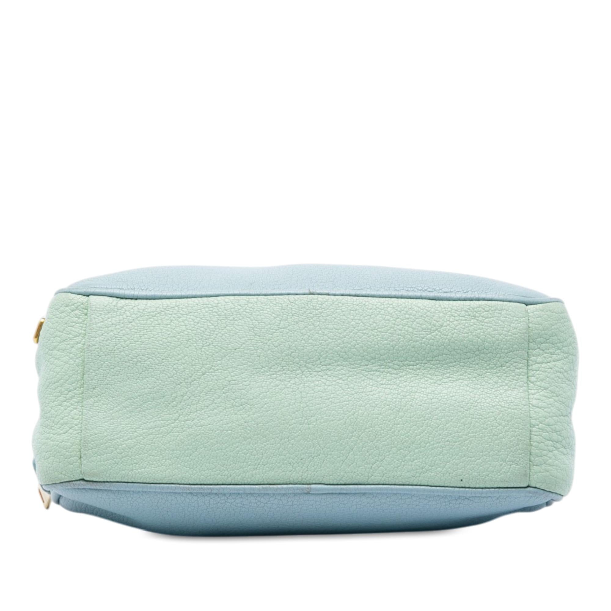 Miu Miu Tricolor Goatskin Madras Double Zip Camera Bag