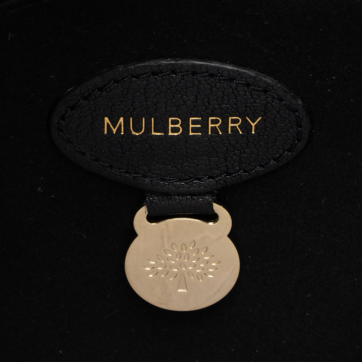 Mulberry Glossy Goat Lily Medium Shoulder Bag
