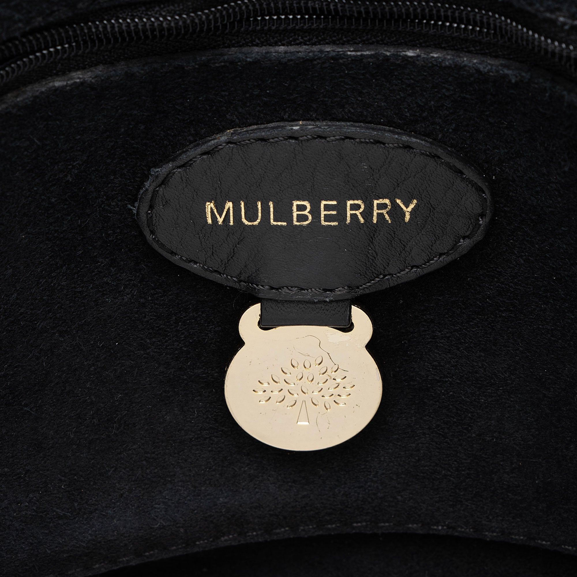 Mulberry Leather Scallop Trimmed Lily Shoulder Bag