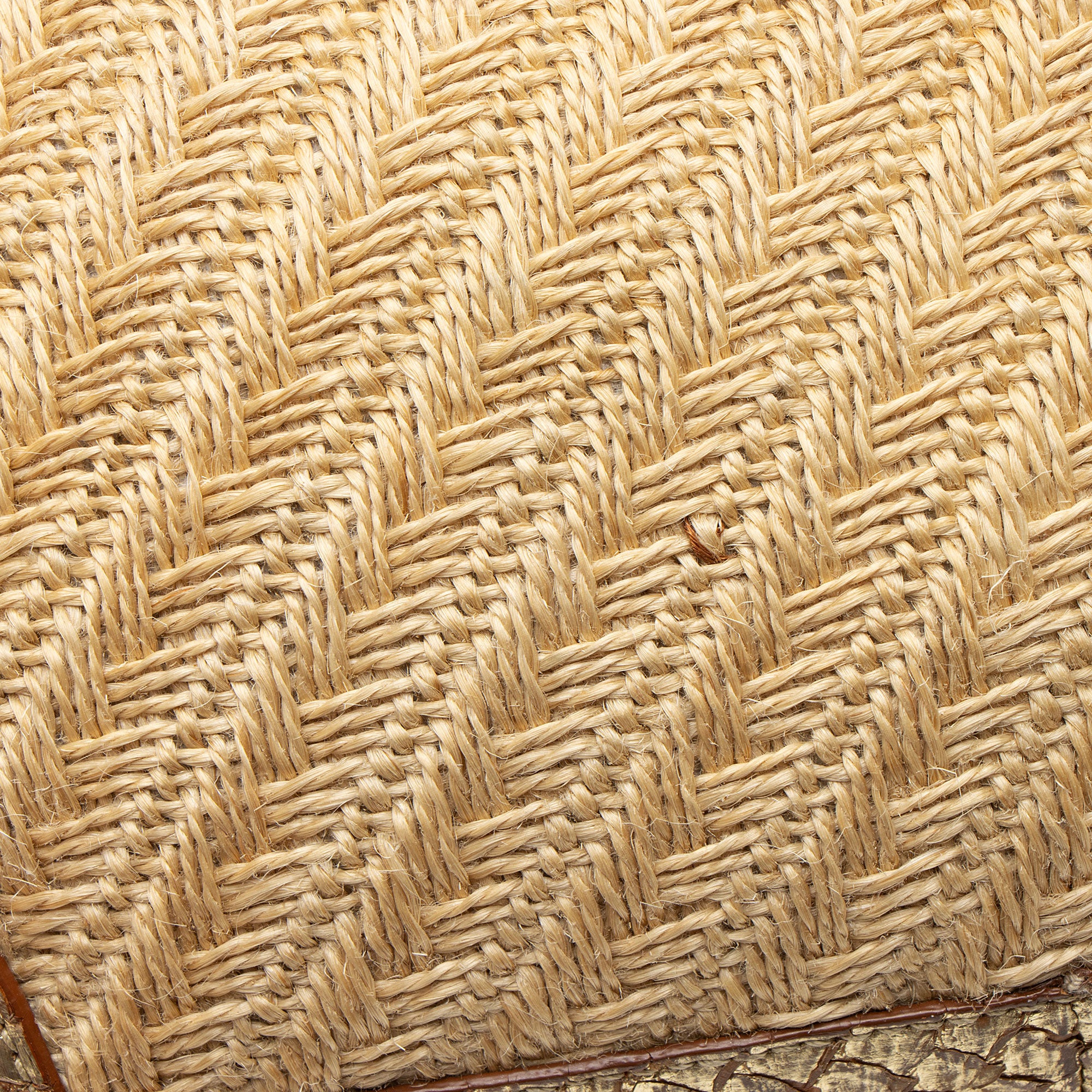 Prada Jute Metallic Python Hobo