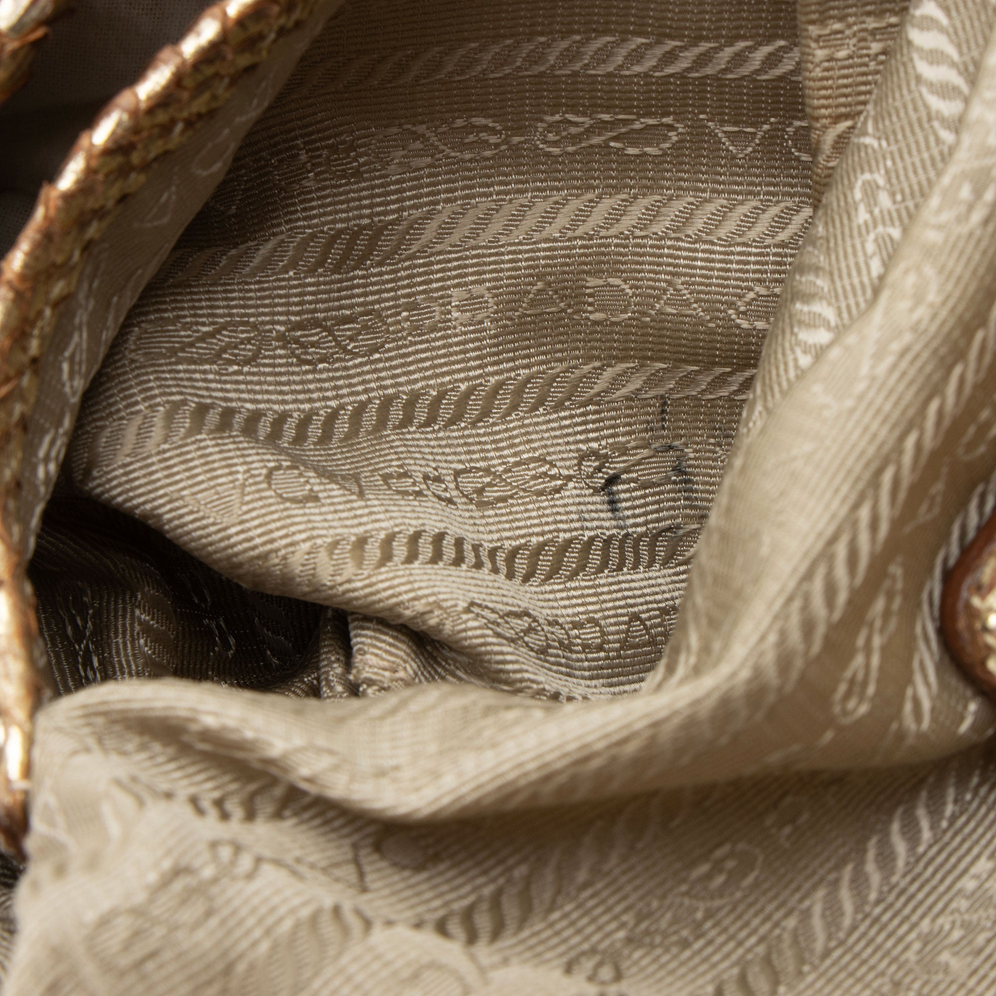 Prada Jute Metallic Python Hobo