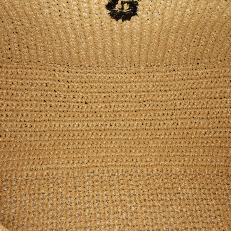 Prada Raffia Logo Tote Bag (SHG-ZnBIpP)