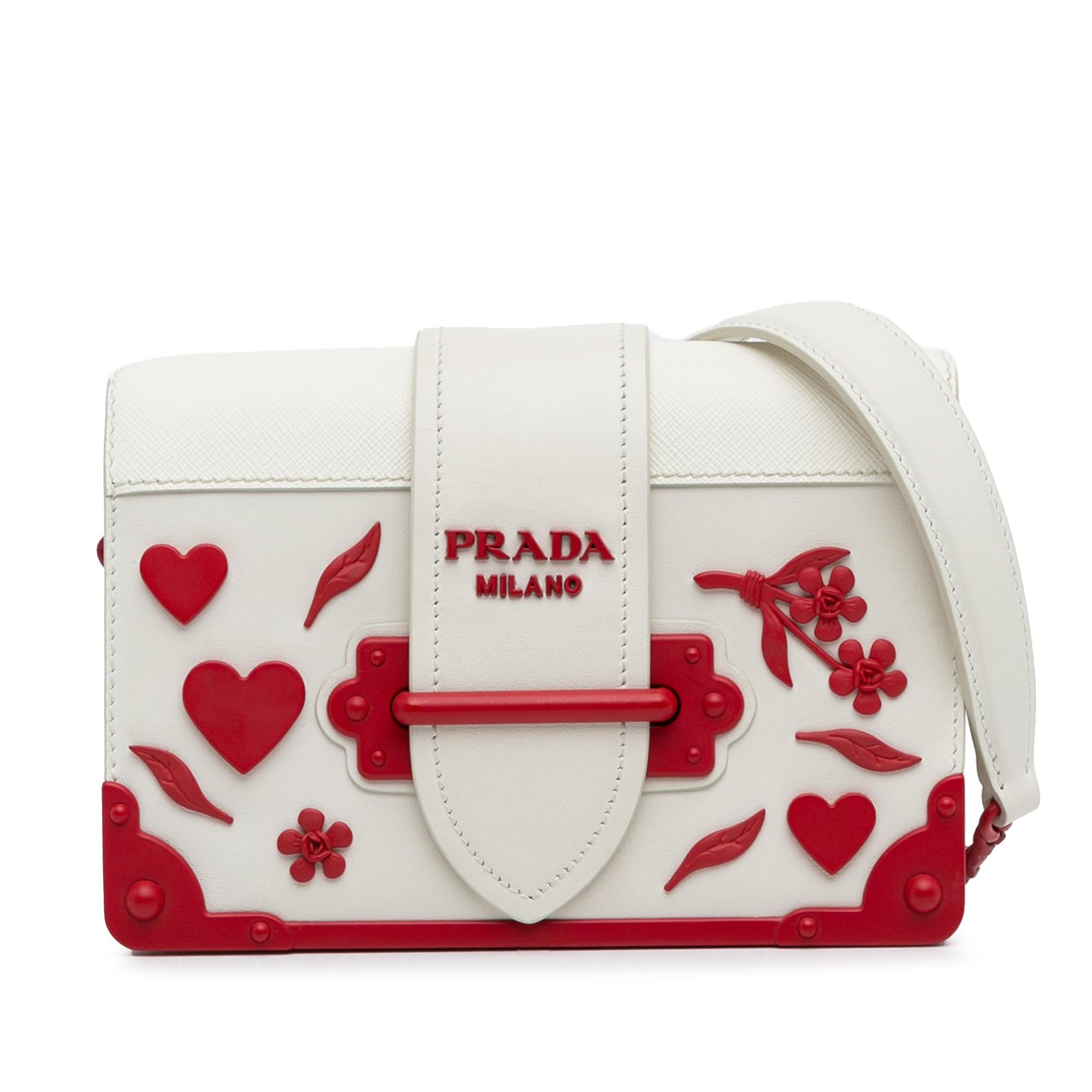 Prada-Saffiano-Trimmed-City-