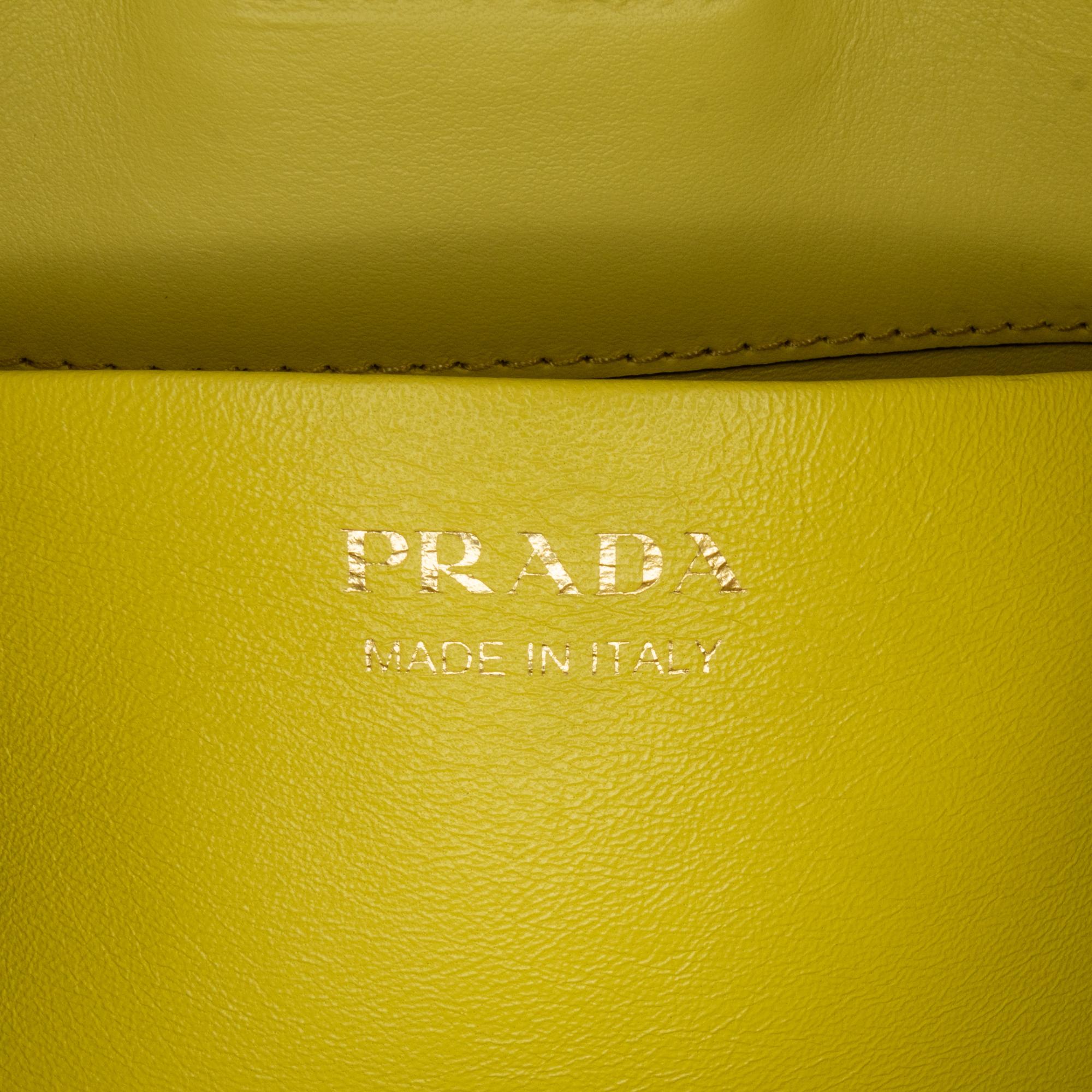 Prada Spazzolato Cleo Hobo Bag
