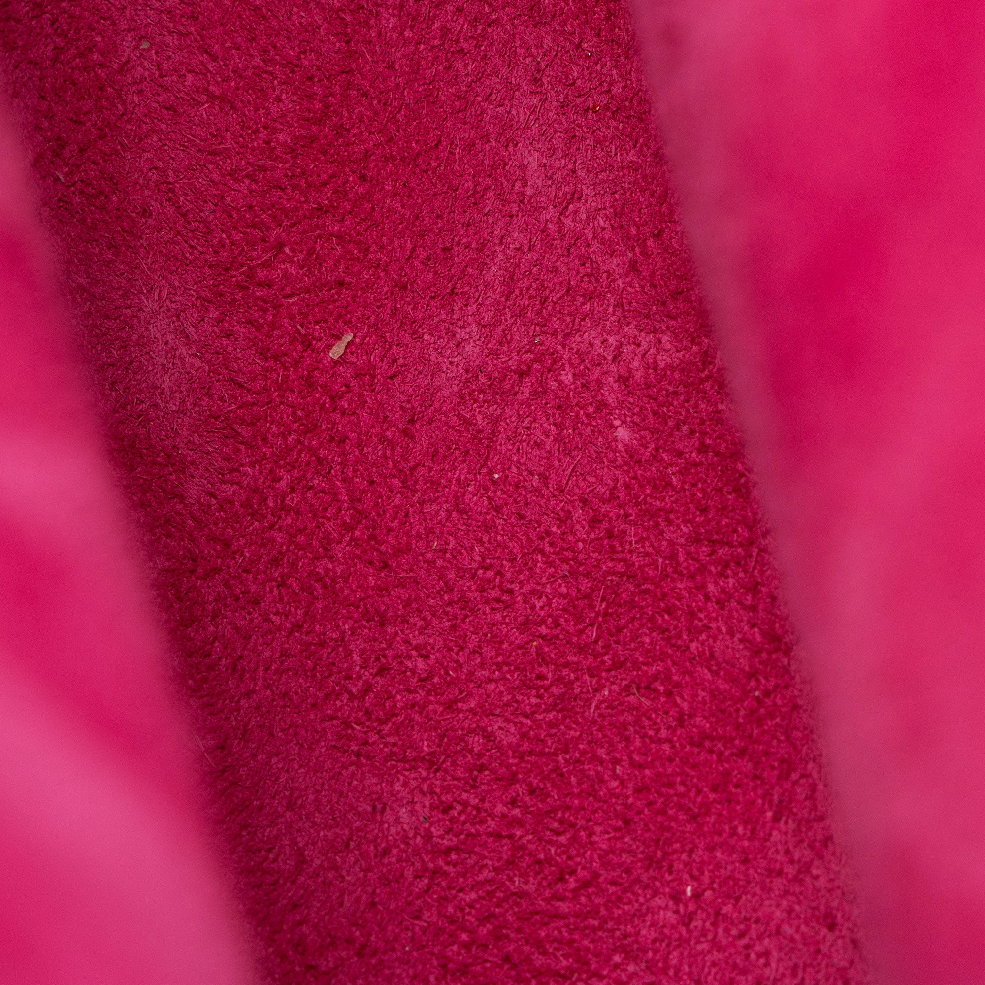 Saint Laurent Calfskin Sac De Jour Small Tote