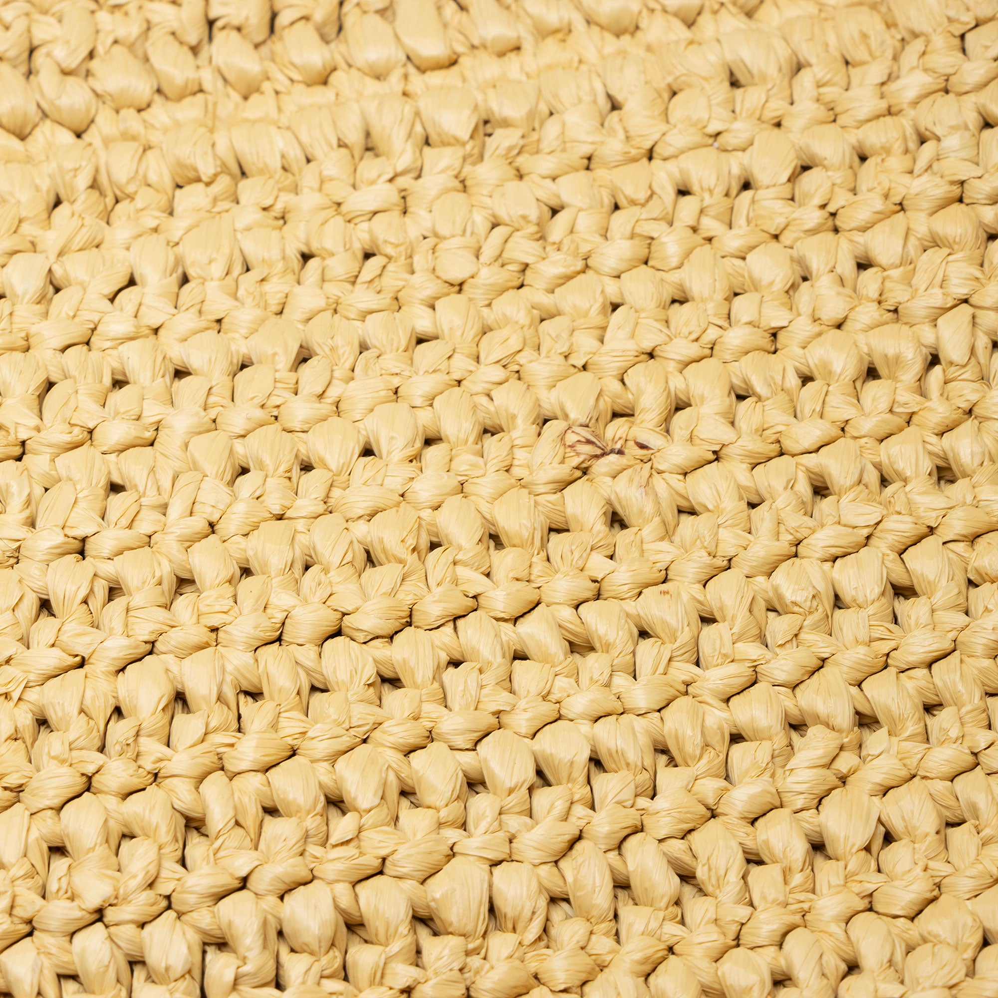 Saint Laurent Raffia Logo Tote