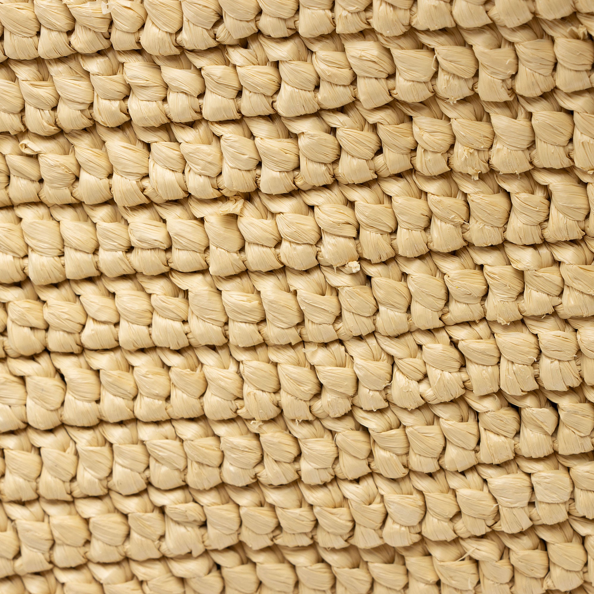 Saint Laurent Raffia Logo Tote
