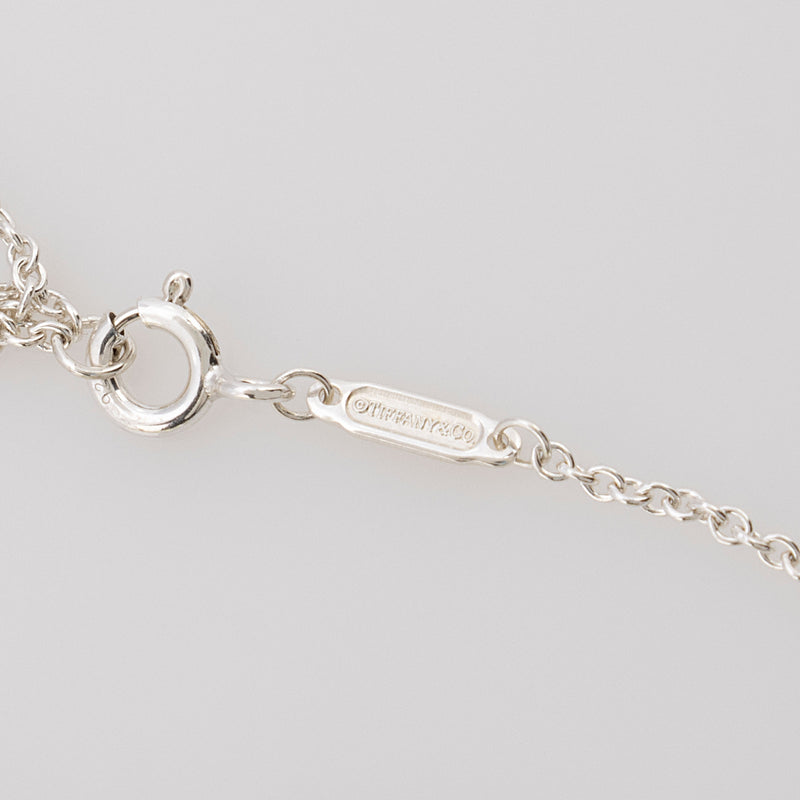 Tiffany & Co. Sterling Silver Enamel Color Splash Oval Pendant Necklace (SHF-KEcoEw)