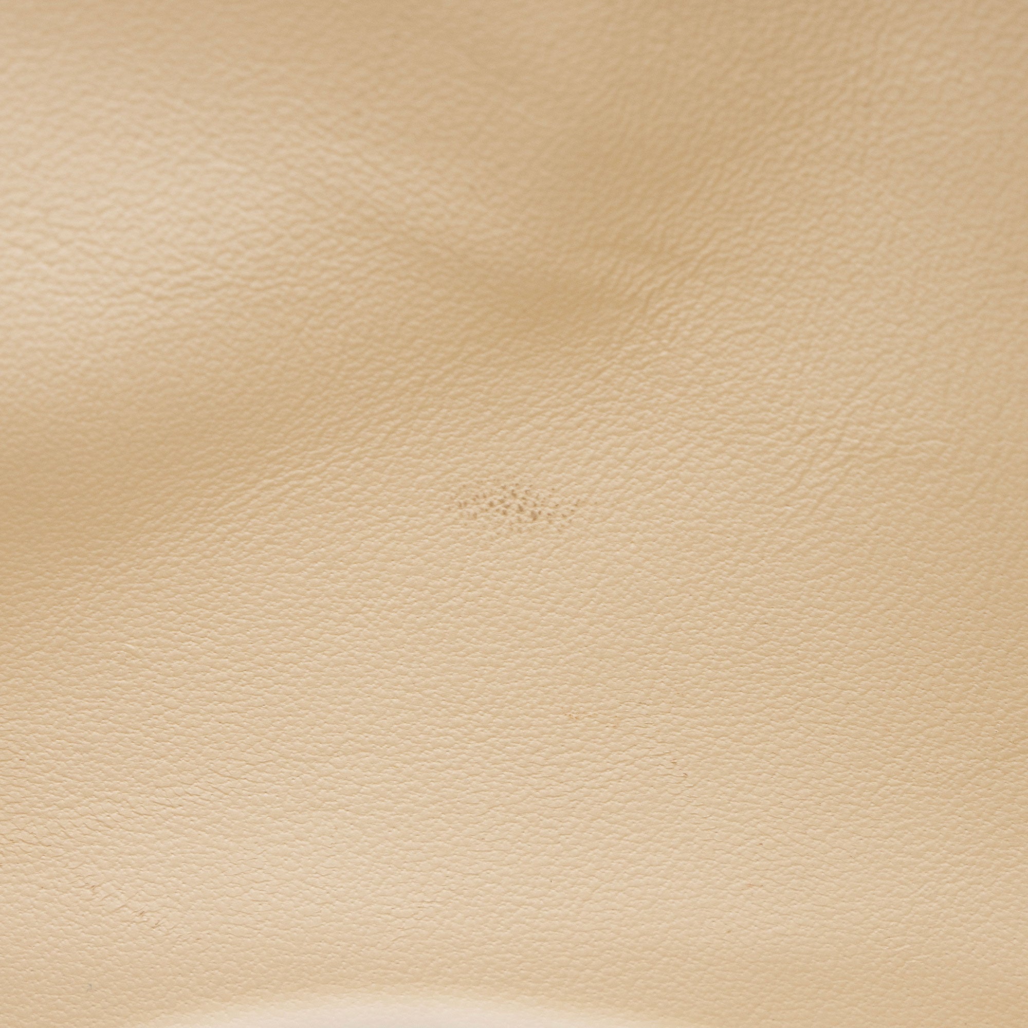 Valentino Leather VLogo Chain Mini Bucket Bag
