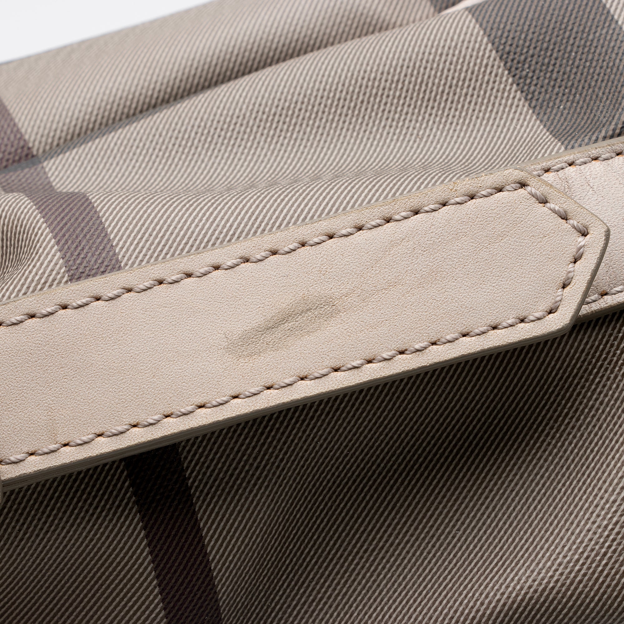 Burberry Smoke Check Walden Medium Hobo (SHF-22987)