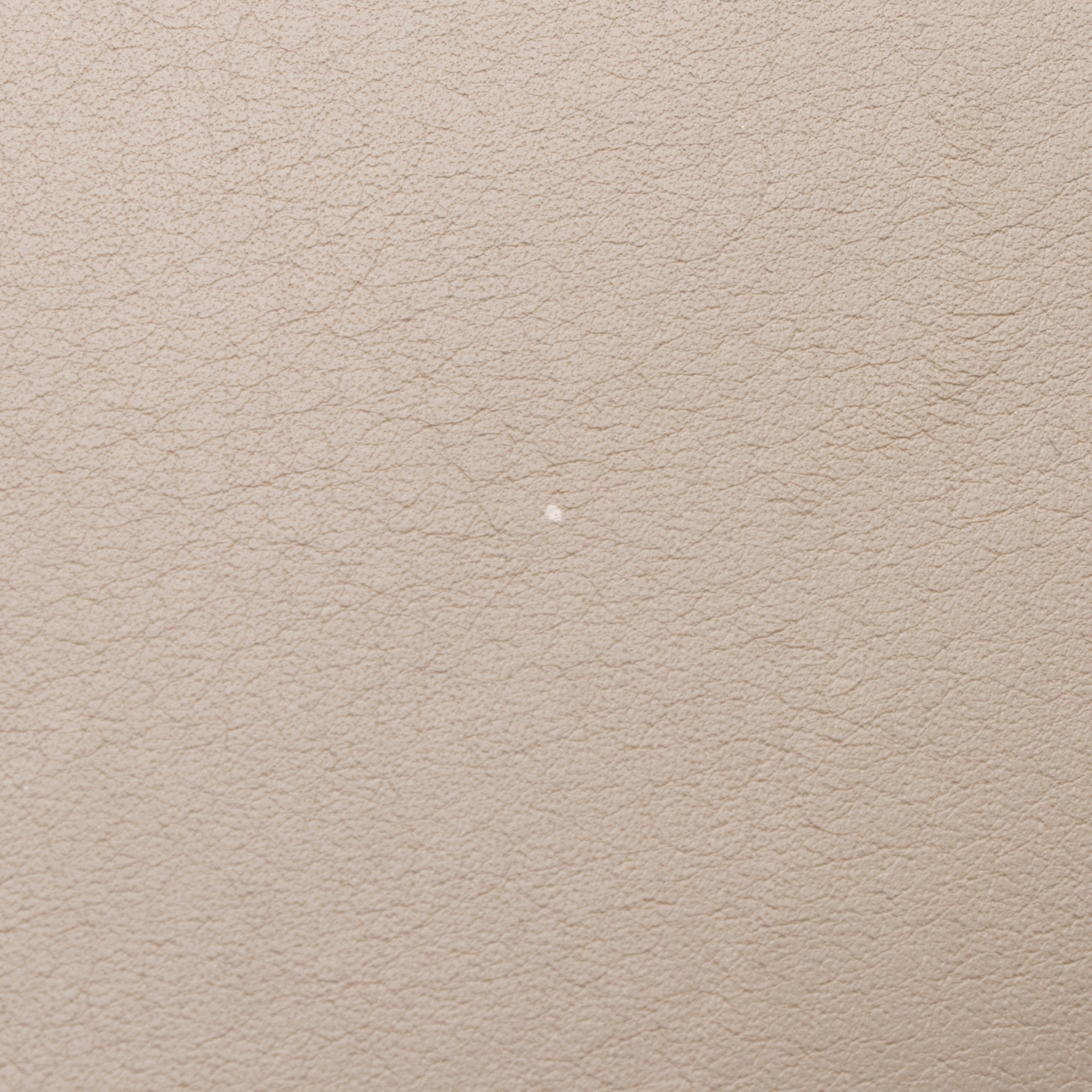 Celine Calfskin Phantom Luggage Tote (SHF-23577)