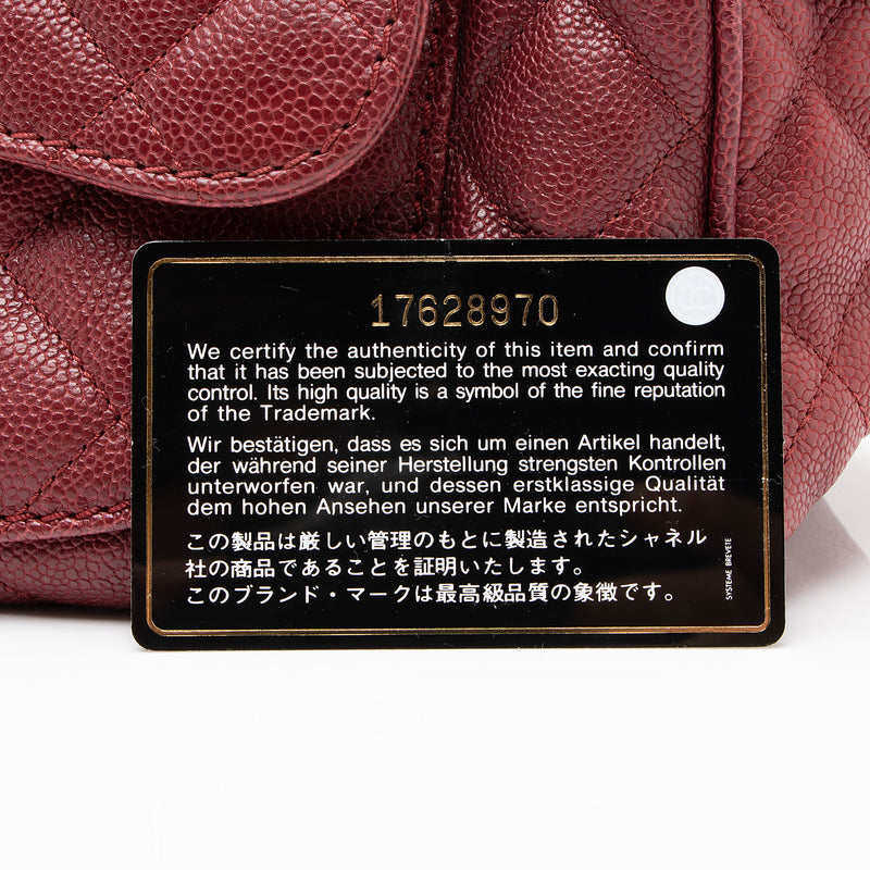 Chanel Caviar Leather Paradoxal Large Camera Bag (SHF-23343)