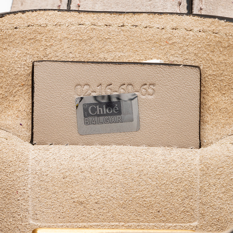 Chloe Leather Jane Mini Crossbody Bag (SHF-17808)