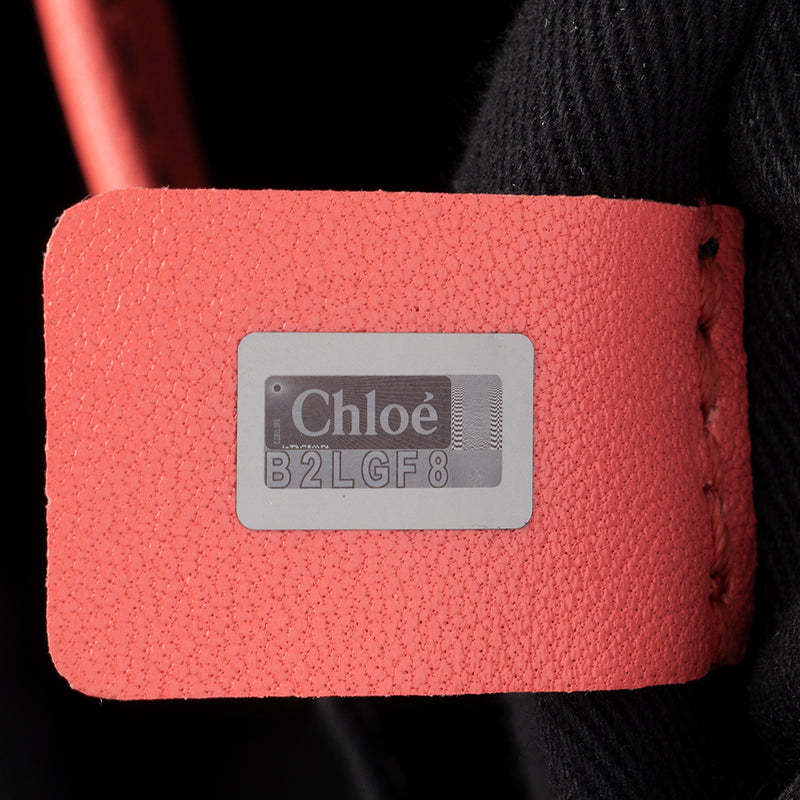 Chloe Leather Vanessa Small Shoulder Bag (SHF-14585)