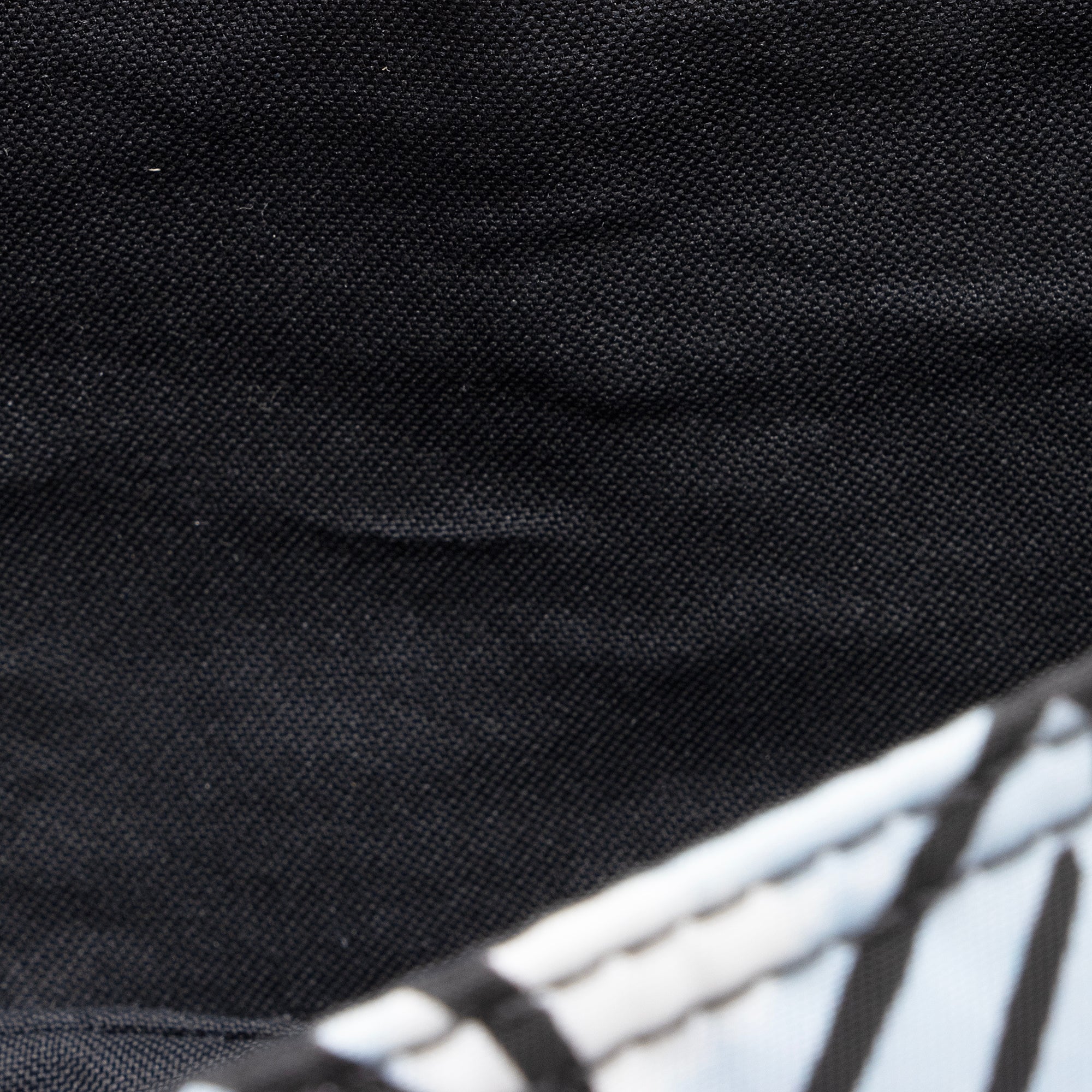 Fendi Nylon Floral Cloudy Porter Baguette Mini Phone Pouch (SHF-BE23Wb)