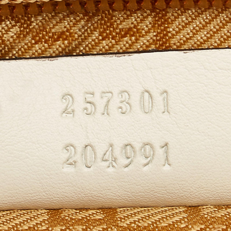 Gucci Canvas Crossbody Bag (SHG-23152)