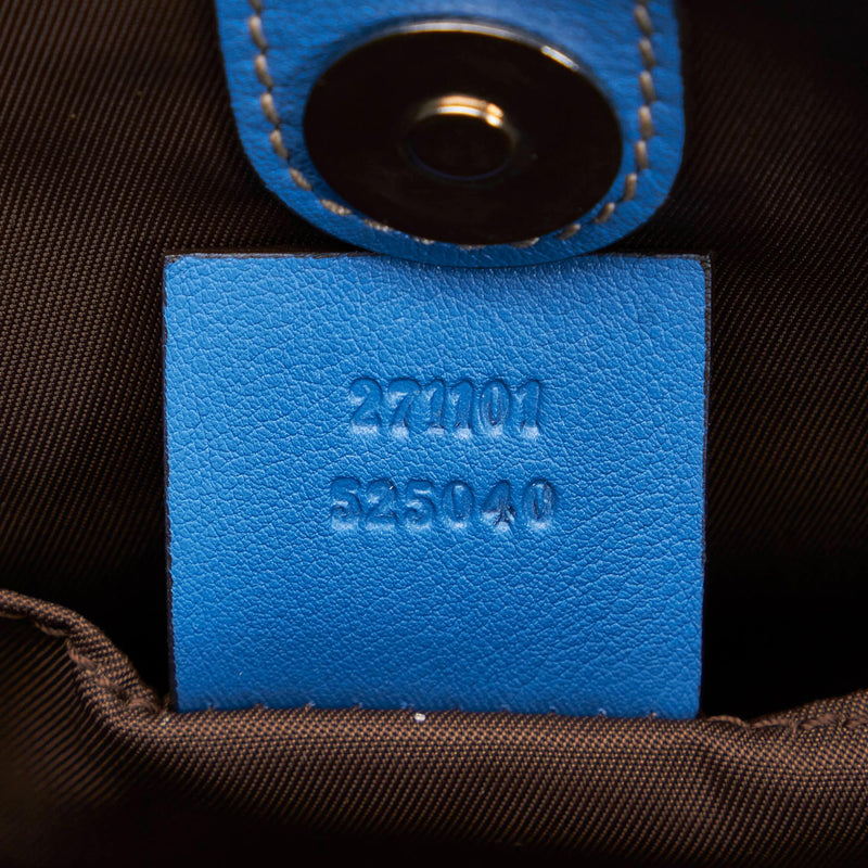 Gucci GG Canvas Alpina Trekking Backpack (SHG-szkLlr) – LuxeDH