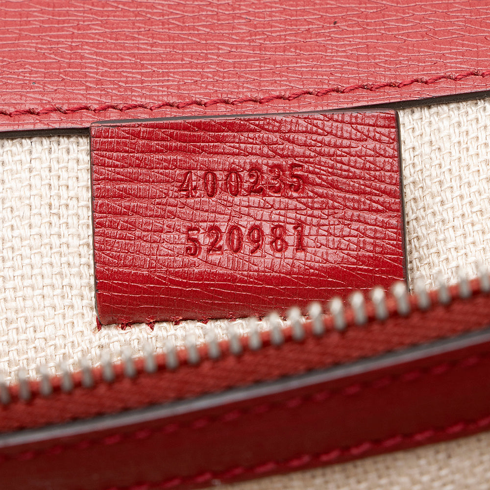 Gucci Leather Blooms Dionysus Medium Shoulder Bag (SHF-22041)