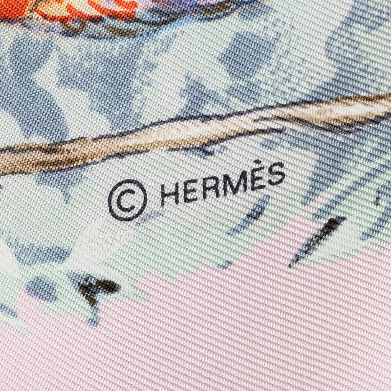 Hermes Silk Equateur 90cm Scarf (SHF-20652)
