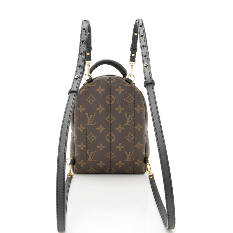 Louis Vuitton, Bags, Authentic Louis Vuitton Palm Springs Mini Backpack  Bb Crossbody