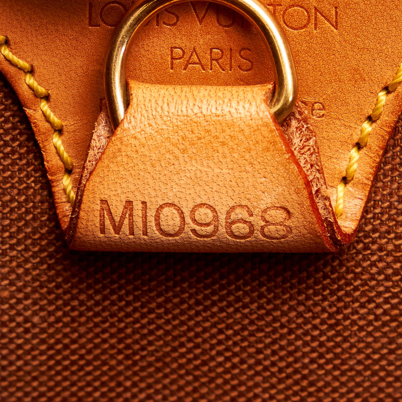 Louis Vuitton Monogram Ellipse PM (SHG-28176)