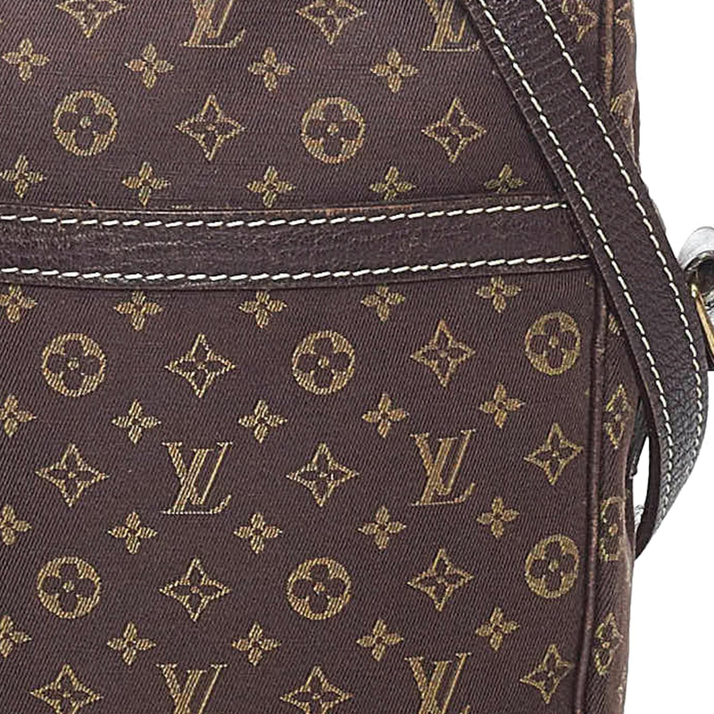 Authentic Louis Vuitton Mini Lin Danube PM, Luxury, Bags & Wallets