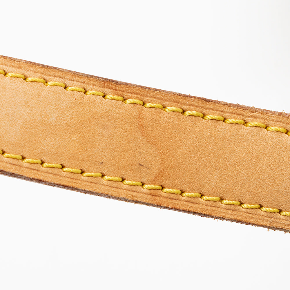 Louis Vuitton Monogram Mini Lin Jeanne GM Crossbody Bag - FINAL SALE (SHF-20199)