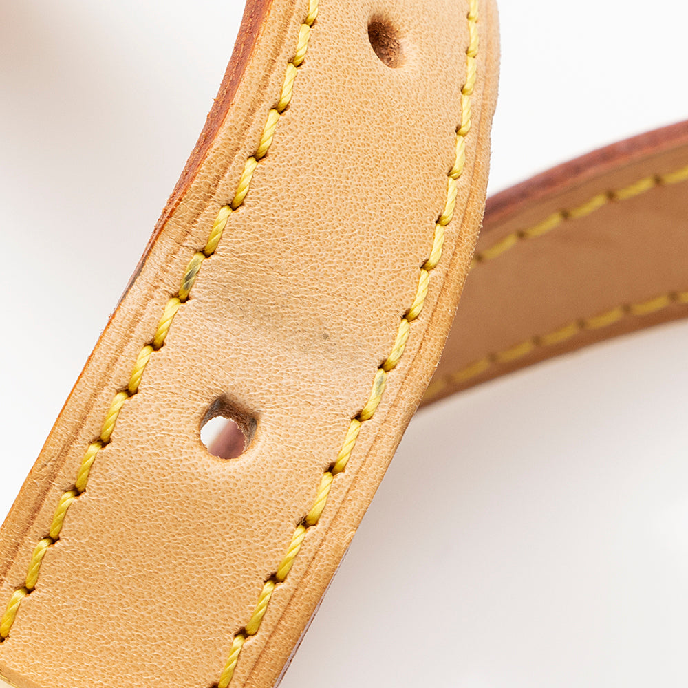 Louis Vuitton Monogram Mini Lin Jeanne GM Crossbody Bag - FINAL SALE (SHF-20199)