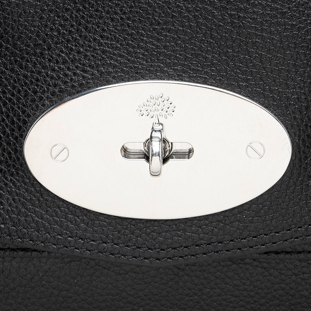 Mulberry Leather Alexa Satchel (SHF-19695)