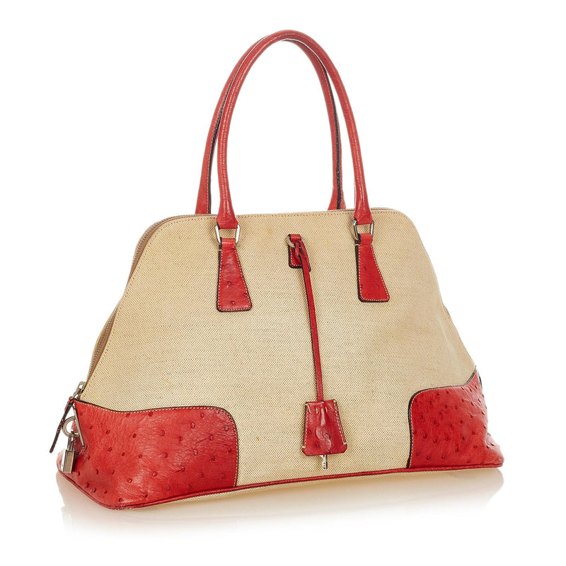 Prada Ostrich Trimmed Dome Handbag (SHG-24969) – LuxeDH